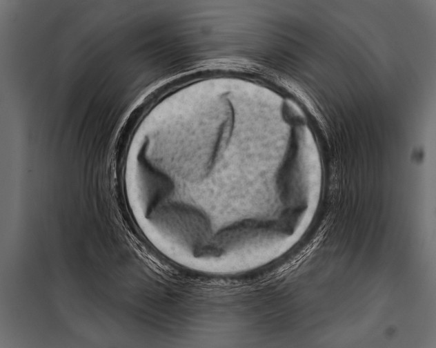 X0000099960923200806201333