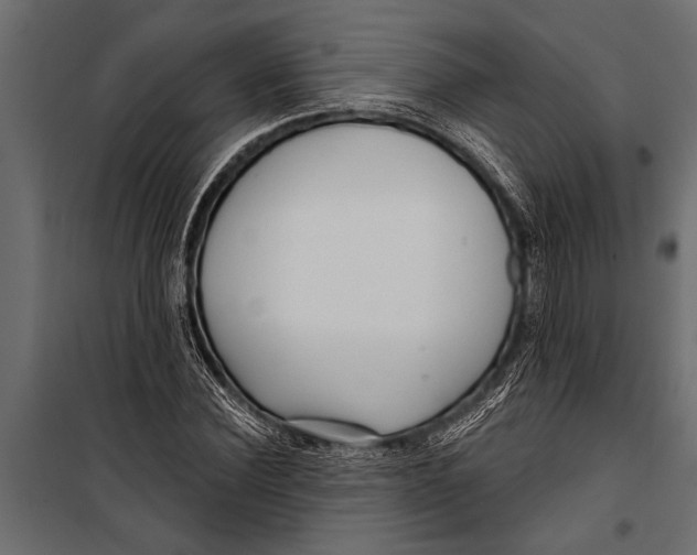 X0000099960924200806201333