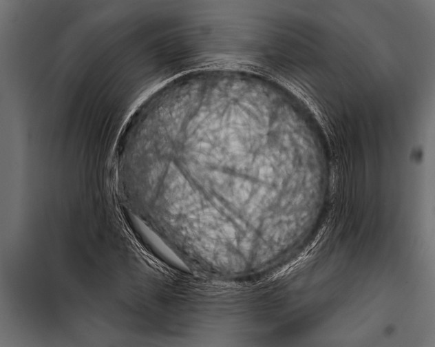 X0000099960925200806201333