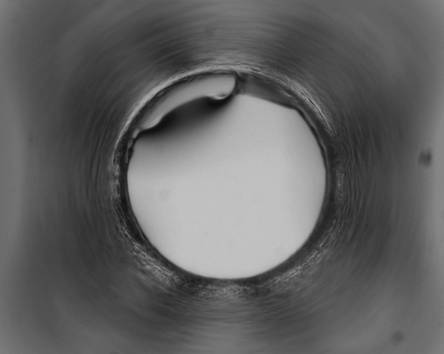 X0000099960926200806201334