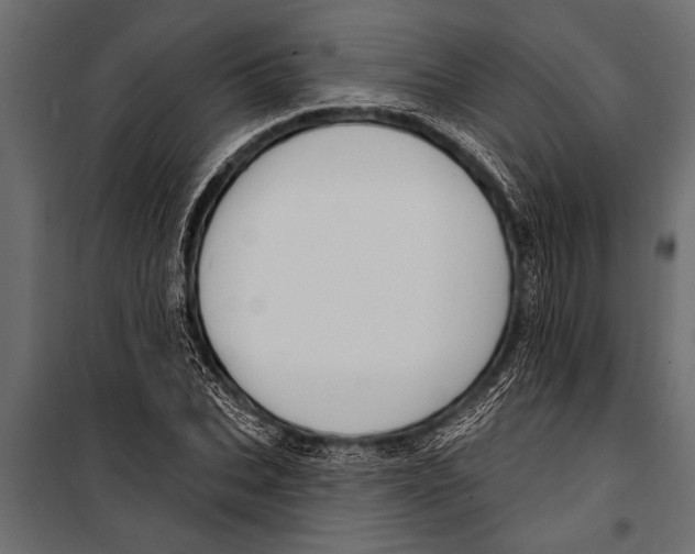X0000099960927200806201334