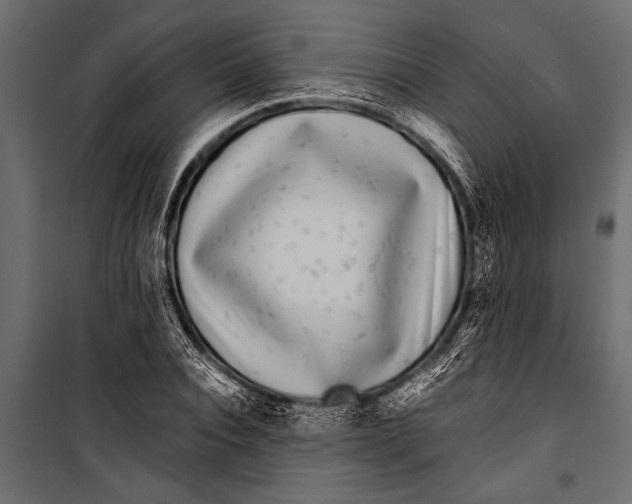 X0000099960928200806201334