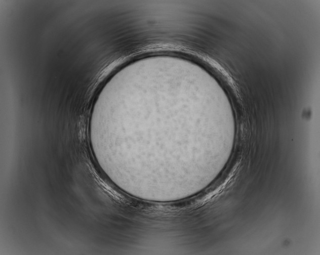X0000099960929200806201334