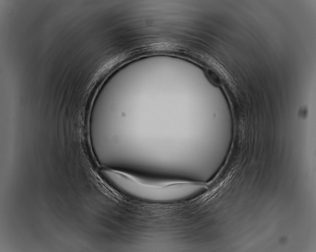 X0000099960930200806201334