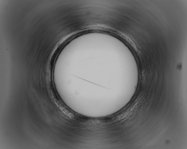 X0000099960931200806201334