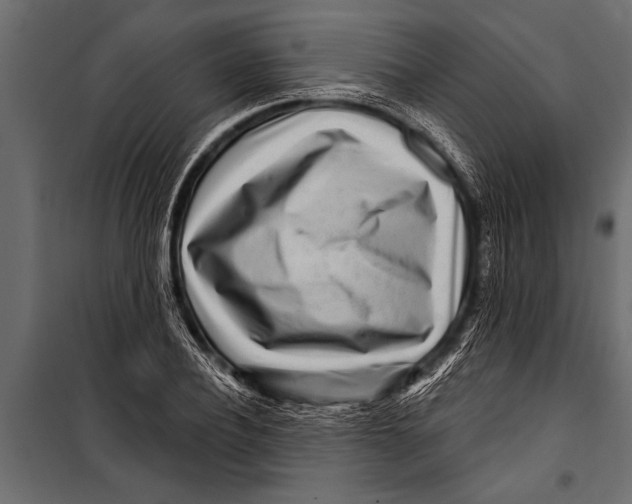 X0000099960932200806201334