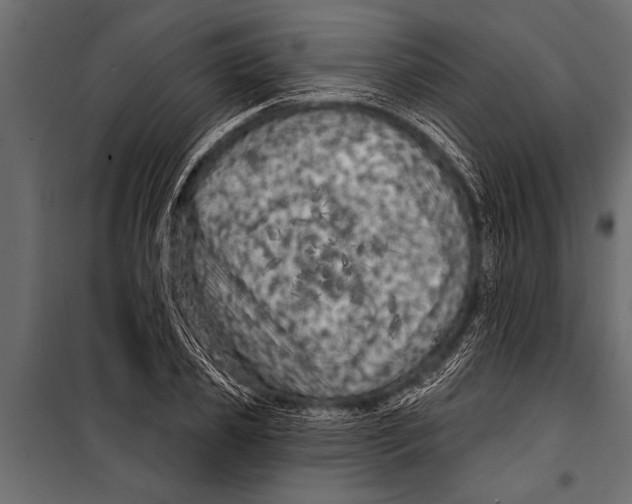 X0000099960933200806201334