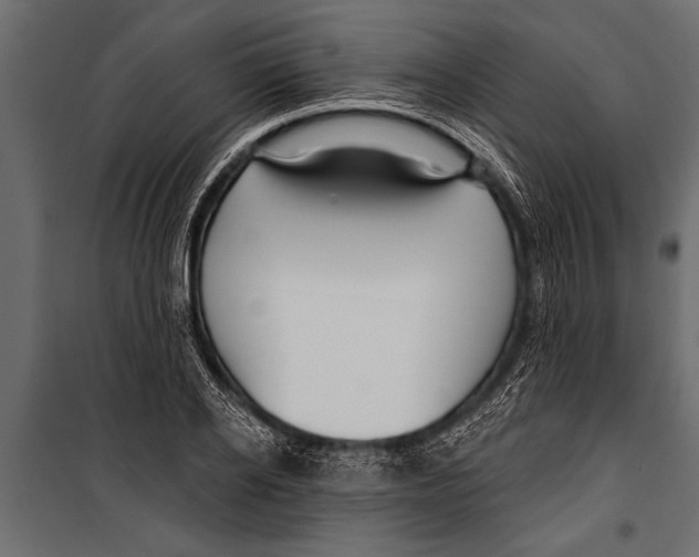 X0000099960934200806201334