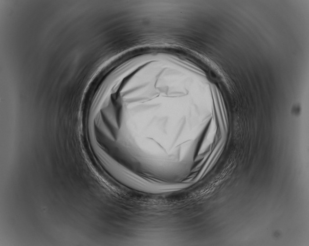 X0000099960935200806201334