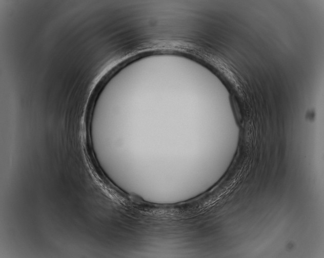 X0000099960936200806201334