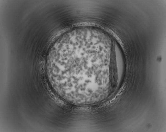 X0000099960937200806201334