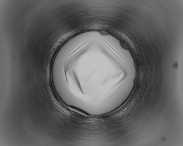 X0000099960938200806201334