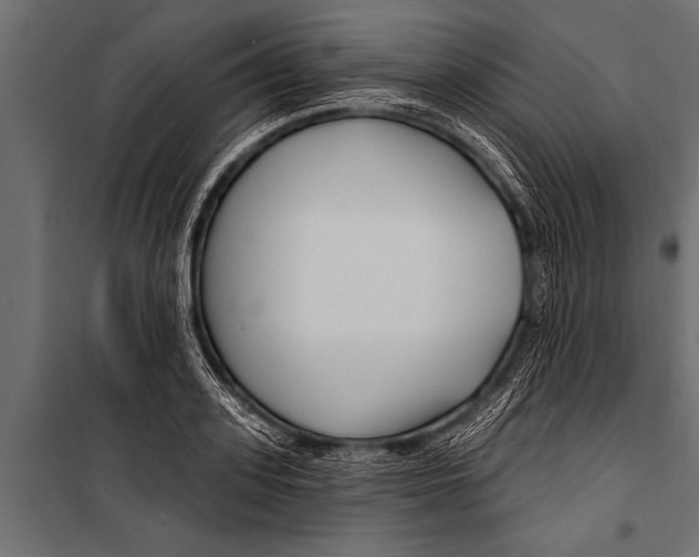 X0000099960939200806201334