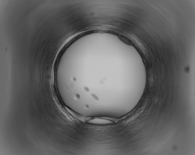 X0000099960940200806201334