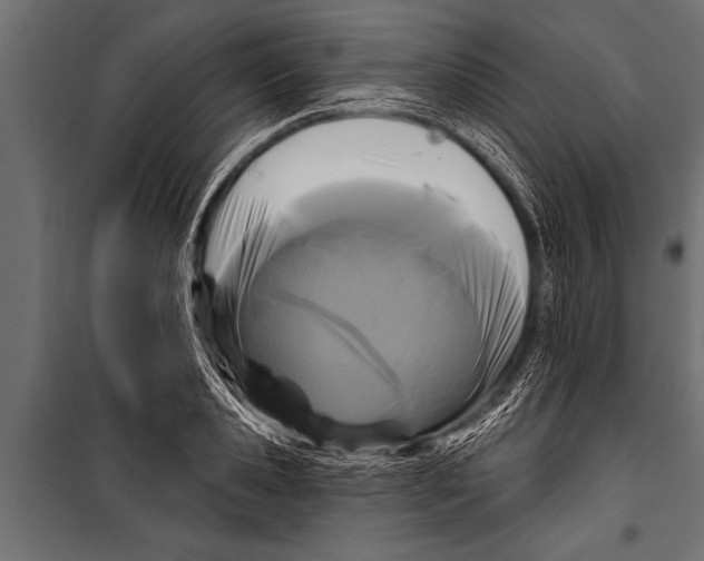 X0000099960941200806201334