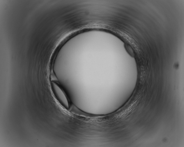 X0000099960942200806201334