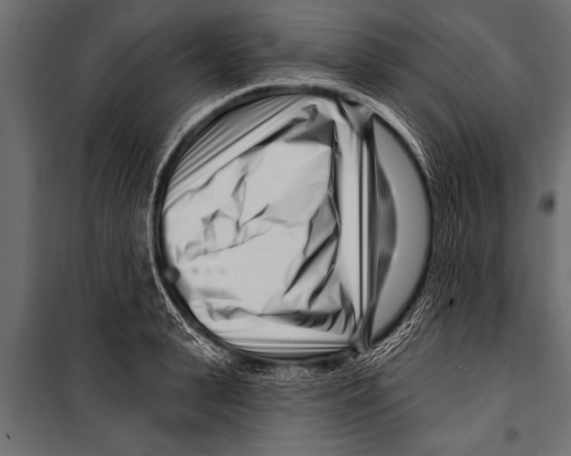 X0000099960943200806201334