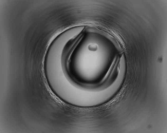X0000099960944200806201334