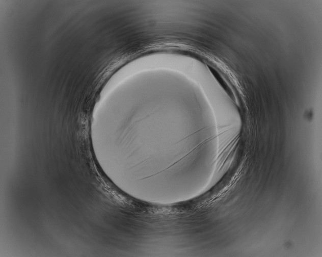 X0000099960945200806201334