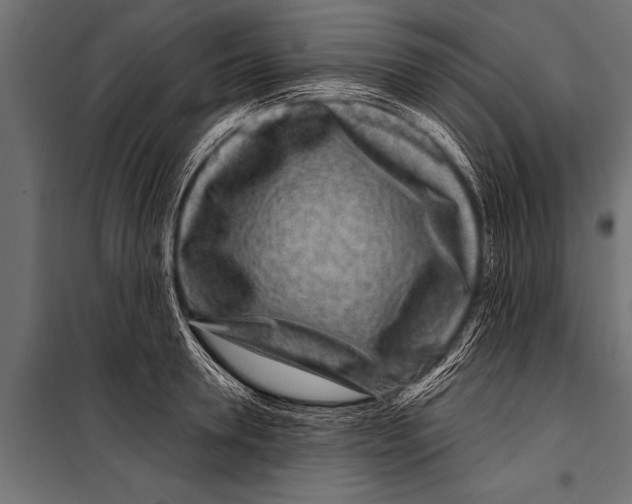 X0000099960946200806201334