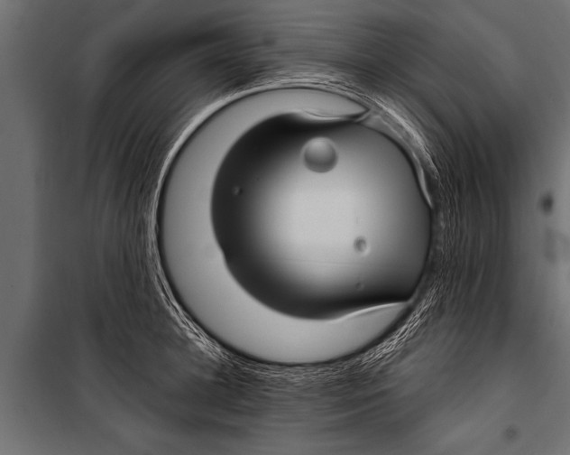 X0000099960948200806201334