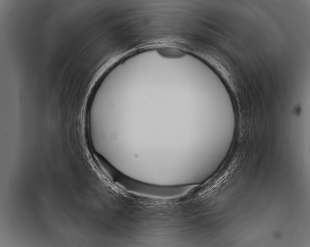 X0000099960949200806201334