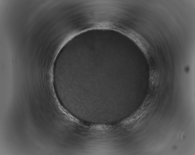X0000099960950200806201334