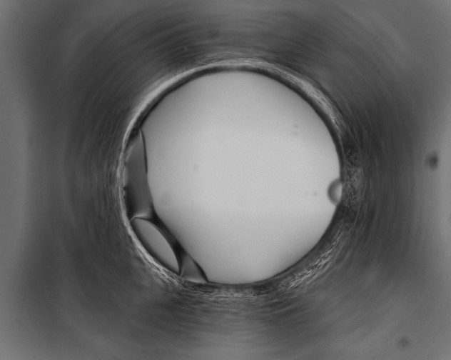 X0000099960951200806201334