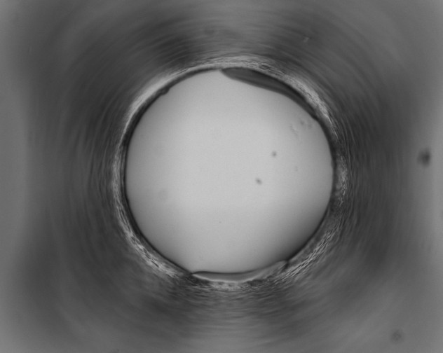 X0000099960952200806201334