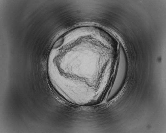 X0000099960953200806201334
