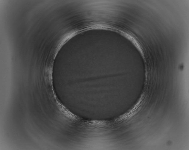 X0000099960954200806201334