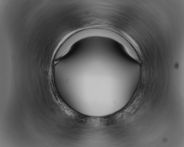 X0000099960956200806201334