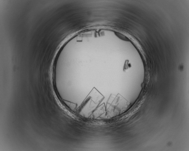 X0000099960957200806201334