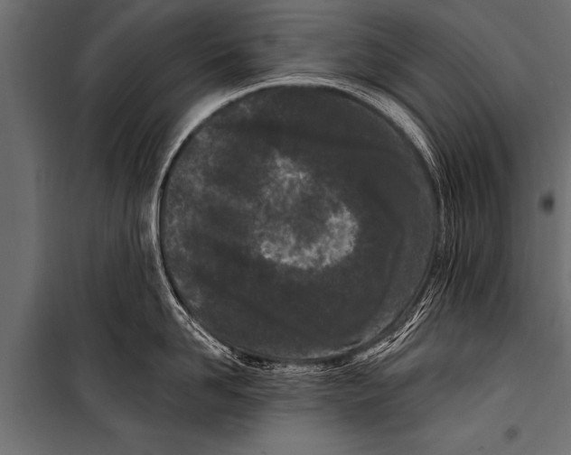 X0000099960958200806201334