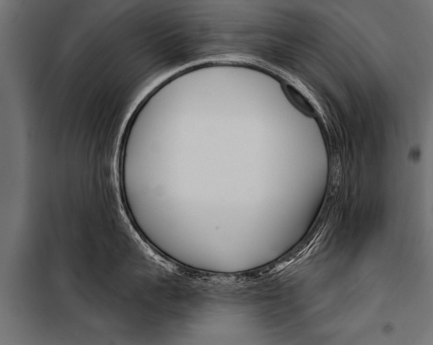 X0000099960959200806201334