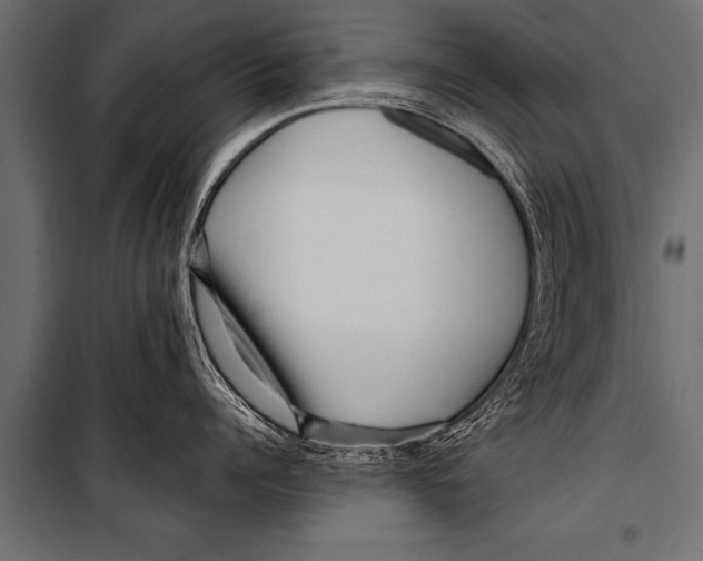 X0000099960960200806201334