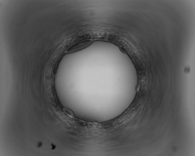 X0000099960961200806201333