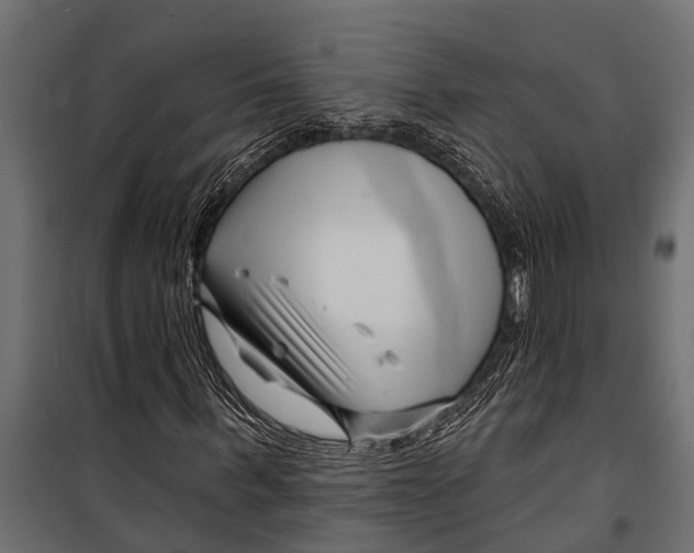 X0000099960963200806201333