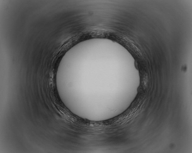 X0000099960964200806201333