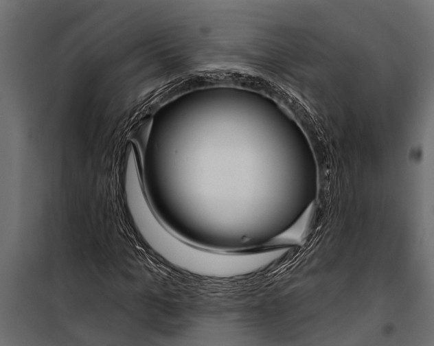 X0000099960965200806201333