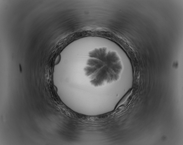 X0000099960966200806201333