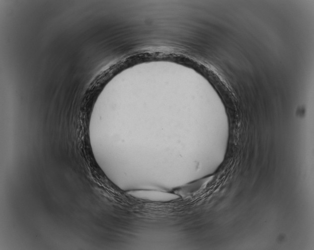 X0000099960967200806201333