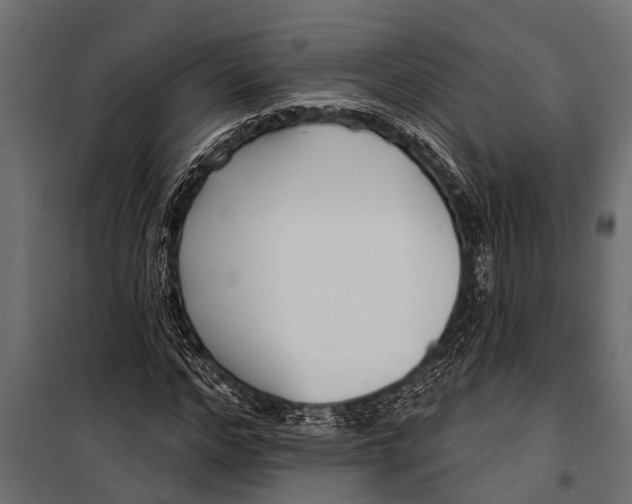 X0000099960968200806201333