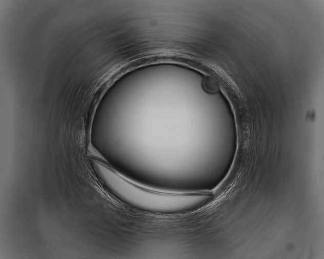 X0000099960969200806201333