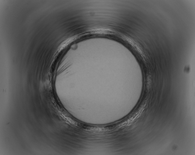 X0000099960970200806201333