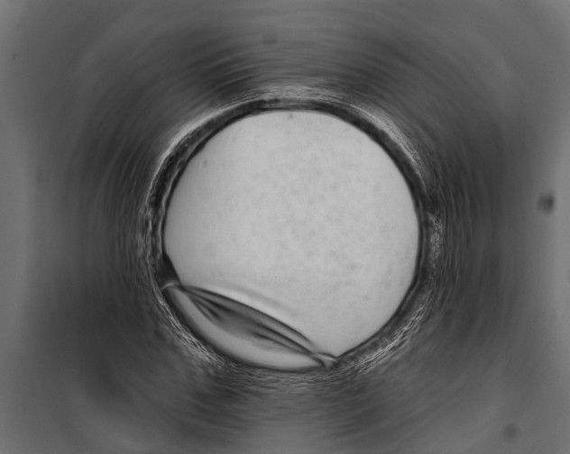 X0000099960971200806201333