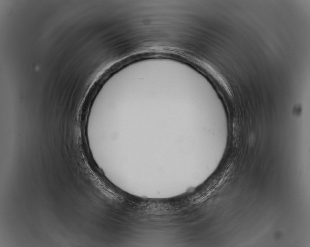 X0000099960972200806201333