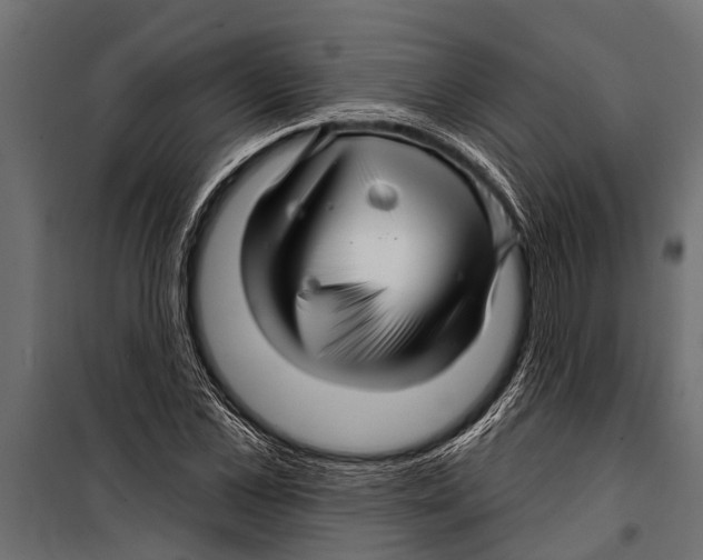 X0000099960973200806201333