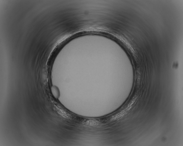 X0000099960974200806201333