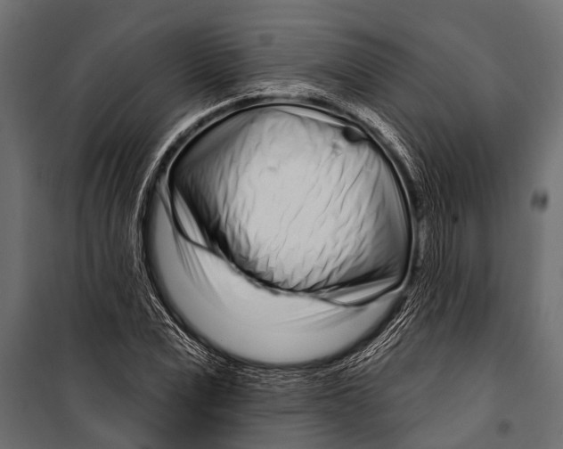 X0000099960975200806201333